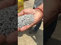 बतख को पत्थर वाली गिट्टी क्यू खिलाया जाता है? Batakh palan Business