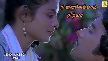 Pani vilum malar vanam song-நினைவெல்லாம் நித்யா-#ilaiyaraja80ssongs#90severgreen@tamilcinemaworld_RM