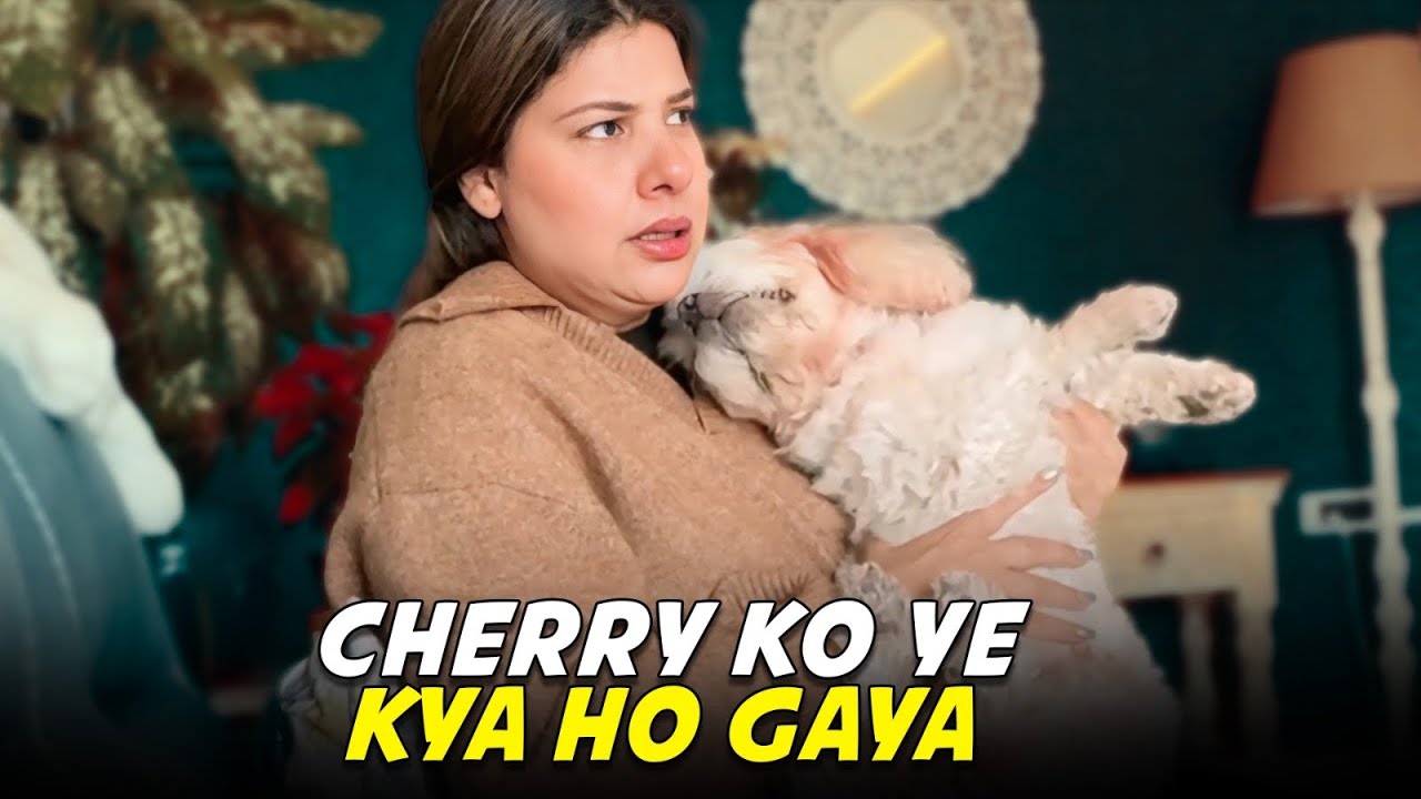 CHERRY KO YE KYA HO GAYA PHIR SE 😐