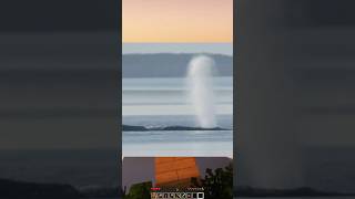 WAL TIMMY in Minecraft ONE BLOCK…🐳😍!? | in unserem NEUEN VIDEO #shortvideo