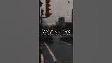 القارئ الشيخ خالد الجليل ♥️🌹