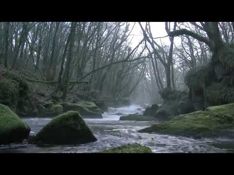 Real Ghost Caught on Camera in Broad Daylight Over a Scottish River – Shocking Paranormal Footage!