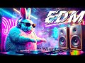 클럽 누나들이 좋아할 만한 빵빵 EDM Full Original Mix 클럽 누나들이 좋아할 만한 빵빵 EDM Full Original Mix