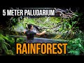 Proses Pembuatan Super Paludarium Rainforest 5 Meter