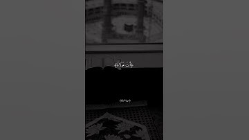 قرآن كريم بصوت احمد العجمي حالات واتس أب