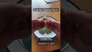 Col De Dame Noir - Im In Love With This Fig - Jammy And Delicious.