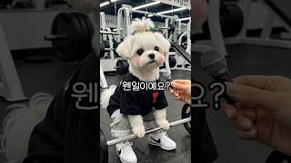 데드리프트 하다 터진 사랑이ㅋ