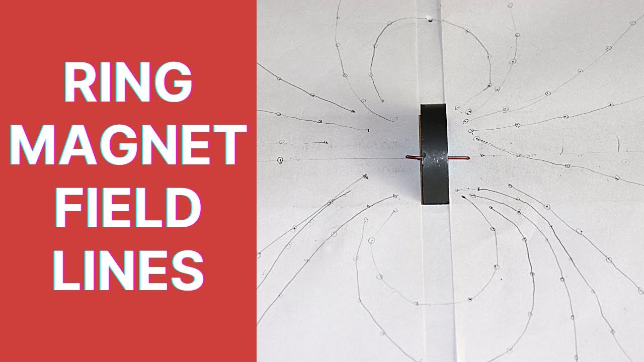 Examples of infinitely long permanent-magnet ring structures generating...  | Download Scientific Diagram