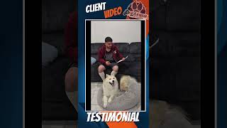 🐶🦮Off leash Dog Training / Obedience Training 🦮🐶