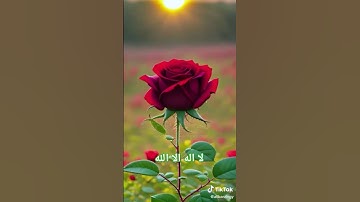 #تلاوة_خاشعة #اجر #اكسبلور #quran #ارح_قلبك