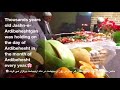   شادباش اردیبهشتگان