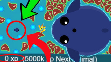 MOPE.IO *MINI* BLUE WHALE vs ALL ANIMALS! TROLLING TAIL BITE KILLS & BEST MOMENTS (Mope.io Gameplay)