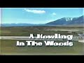 A Howling in the Woods (Thriller) NBC Television Movie -1971