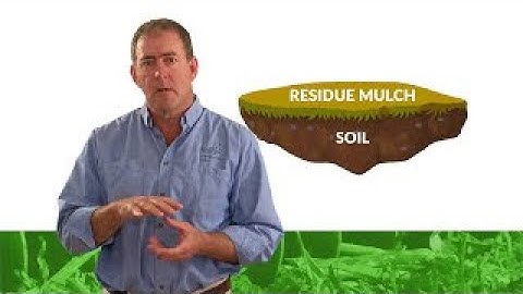 Stubble Management | KELLY Advice Series (Episode 1)