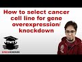 Cell Line selection made easy | cBioportal