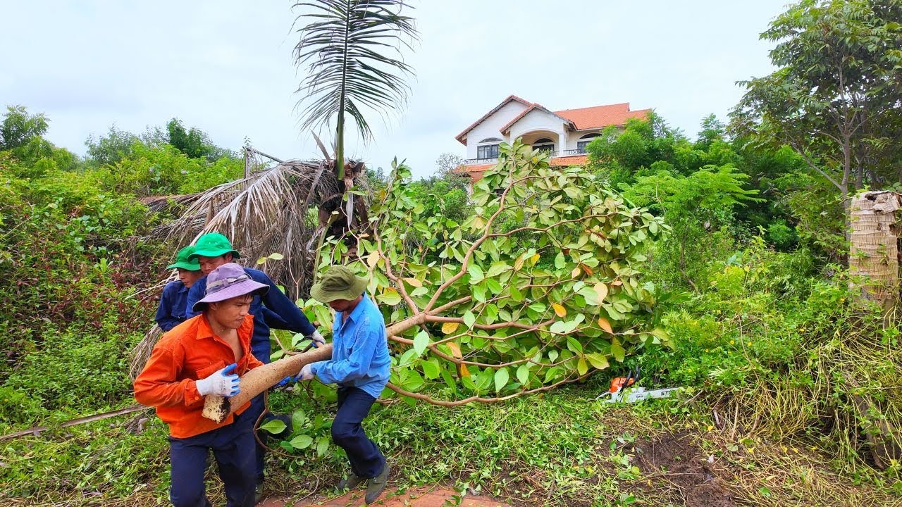 Nature Took Over This Villa — Until We Fought to Reclaim It