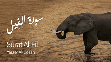 Surat Al-Fil (The Elephant) | Yasser Al-Dosari | ياسر الدوسري | سورة الفيل