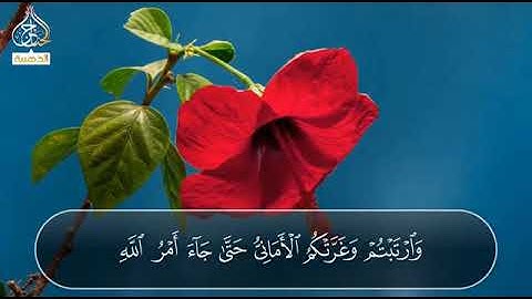 هذا القارئ وهذا الصوت يتطاير بك في عنان السماء | استمتع