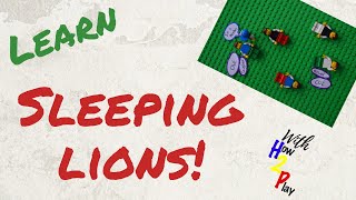 How to Play Sleeping Lions | Audio Description