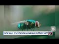 New World screwworm warning in Tennessee