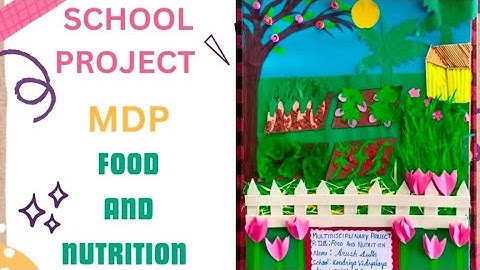MDP/ Food and Nutrition /Eat good feel good/School Project /How To make school project