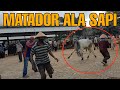 MATADOR VERSI SAPI DI PASAR SIYONO !