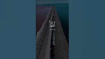 واستغفروا الله إن الله غفور رحيم - #عبدالعزيز_الزهراني #سورة_البقرة