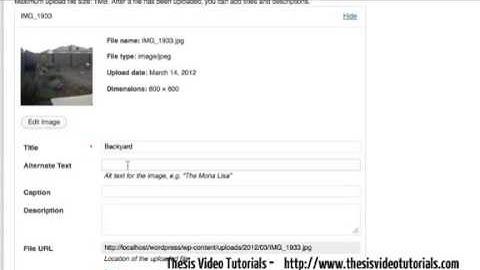 Upload files into the WordPress Media Library  WordPress Basics