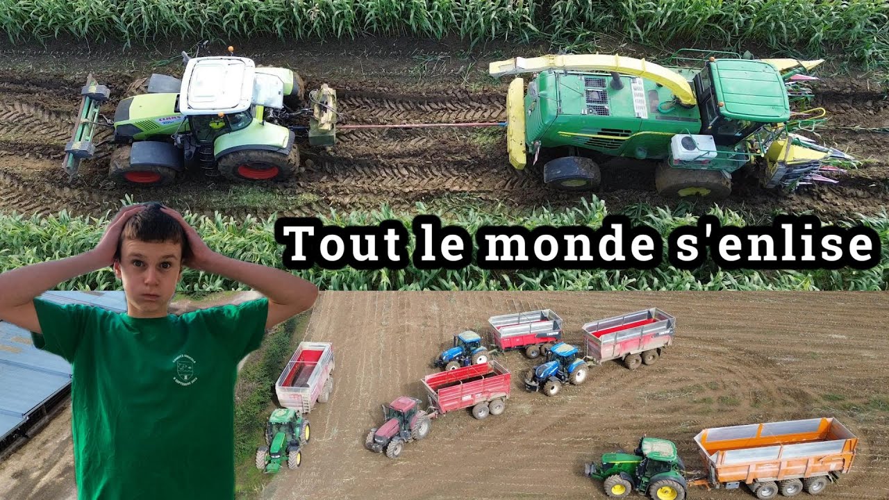 Ensilage de maïs 2024 compliqué