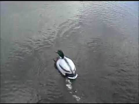 Homemade DIY Motion Swimming Duck Decoy