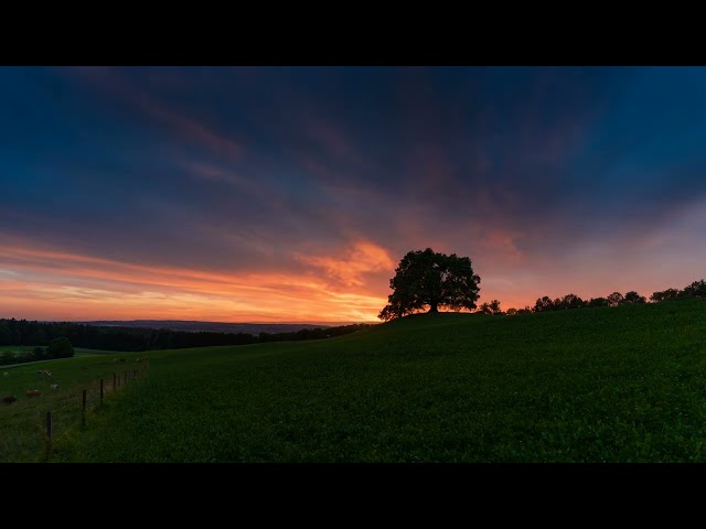 Beautiful Relaxing Meditation Music - Calm Piano Music for Study - Deep Sleep Music