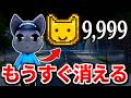 動物病院『もうすぐ消えるウラ技』で大量のアニマルコインを稼いでみたらヤバすぎた、、、【ロブロックス/ROBLOX】