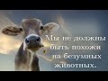 Мы не должны быть похожи на безумных животных