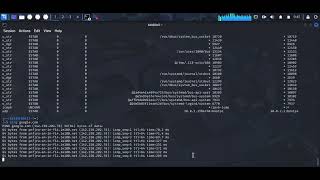 Kali Linux Day 3:Practical networking commands for IP addressing,lighting,DNS,ports,and connectivity
