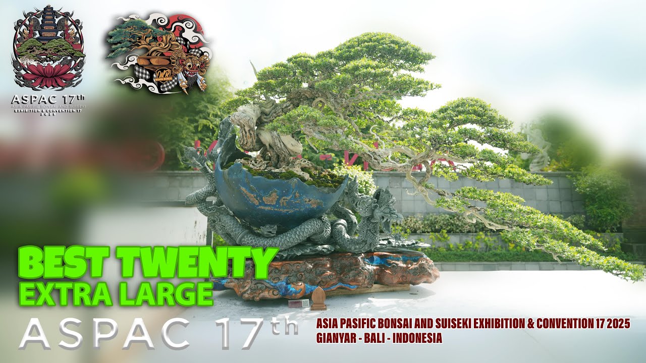 BEST 20 SIZE XXL/XL ASPAC 2025 GIANYAR BALI