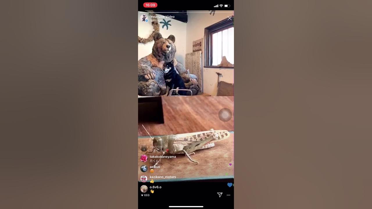 インスタライブ2020 ゲスト福田亨くん YouTube