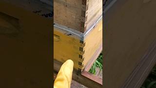 How to Build a Budget Honeybee Hive Box #budget #honeybee #beekeeping #beekeeper #farm #homestead How to Build a Budget Honeybee Hive Box #budget #honeybee #beekeeping #beekeeper #farm #homestead