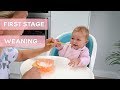 How I Weaned My Baby | My Weaning Tips!