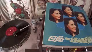 白莎 Bai Sha -- b6 夏日假期玫瑰花
