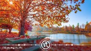 Mindme feat. Christine Smit - Like the Way You Are
