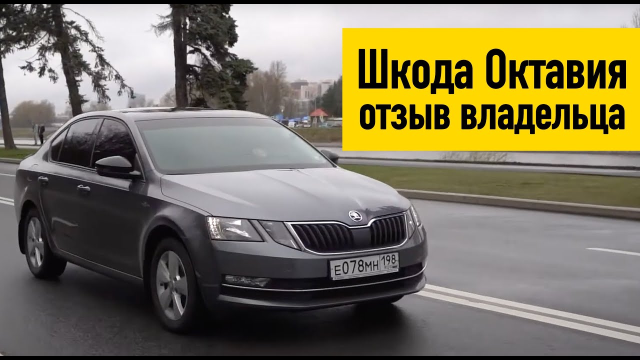 Шкода октавия отзывы владельцев все минусы и плюсы