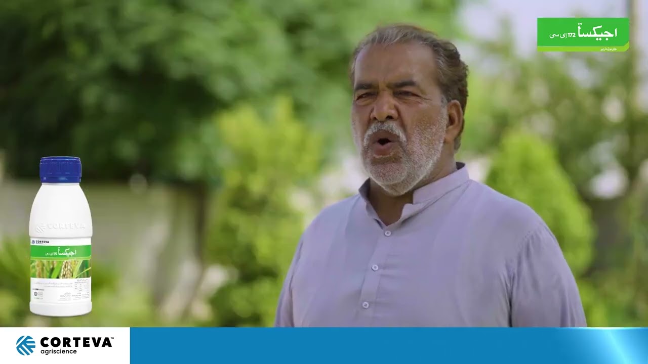 Agixa I Haji Aurangzaib I Jhang I Customer Feedback