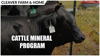 Is Your Cattle Mineral Program Working? | Cleaver Farm & Home