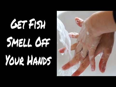 How To Get Fish Smell Off Your Hands - Quick and Easy Methods