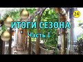 Солнечный вегетарий. Итоги первого сезона. Часть 1