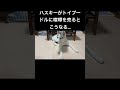 シベリアンハスキーがトイプードルに喧嘩を売るとこうなります #short