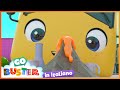 Buster e l&#39;Esperimento di Scienze | Go Buster in Italiano 🚌 - Cartoni animati per bambini