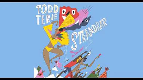 TODD TERJE - Strandbar (disko radio edit)