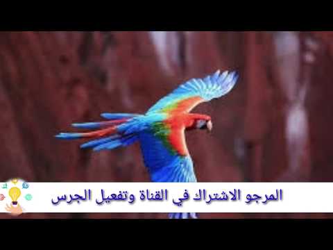 موسيقى لهدوء الأعصاب عميقة جدا للاسترخاء نصف ساعة Mp3 