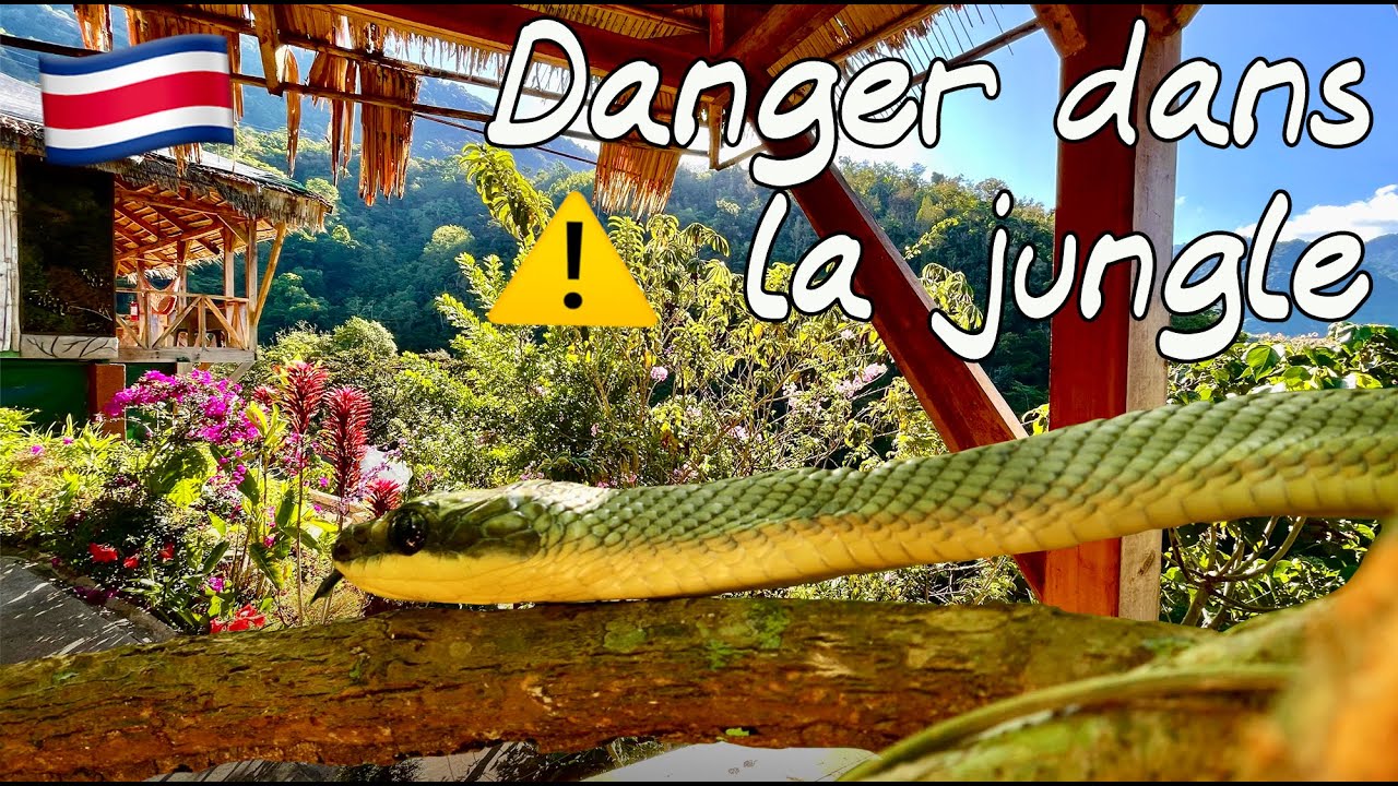 #37 Grosse FRAYEUR et bivouac de luxe en montagne - COSTA RICA